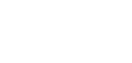 Brand Partner